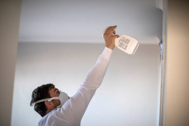Best Mold Testing and Inspection Services in Kingsville, MD